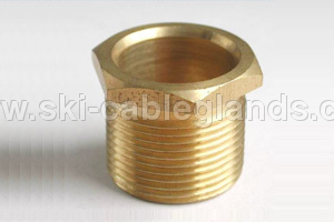 Brass Male Bush