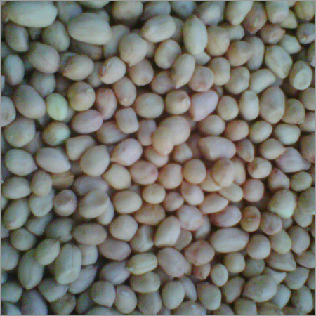 Groundnut Kernels