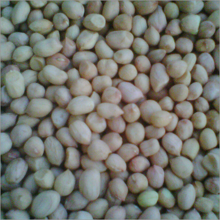 Groundnut Kernels