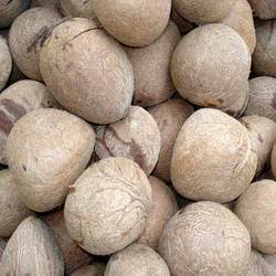 dry-coconut