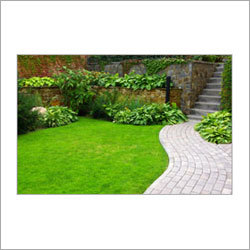 Decorative Paver