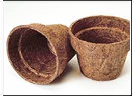 coir pots