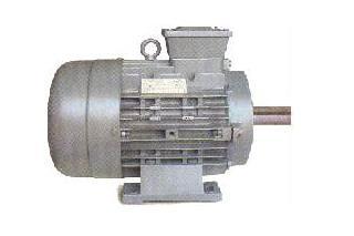 Special Duty Motors