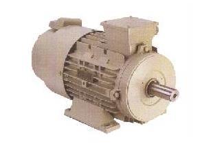 3 Phase Inverter Duty Motors
