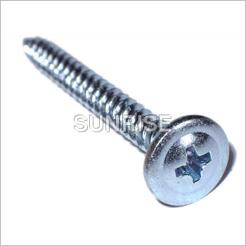 Phillips Screw