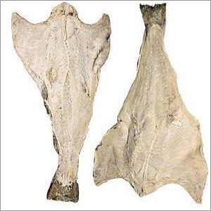 Dried Cod