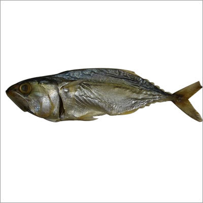 Dry Fish