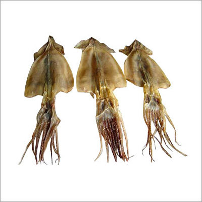 Dried Squid