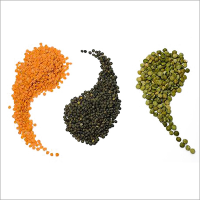 Lentils