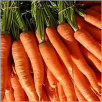 Fresh Carrots