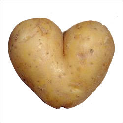 Farm Fresh Potatoes