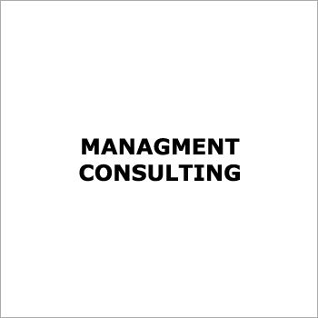 Management Consulting