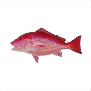 Sankara Fish
