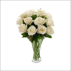 White Rose Flowers