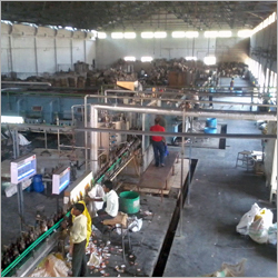 Beverage Plant Aggression