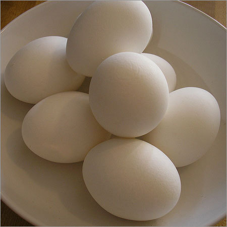 Raw Egg