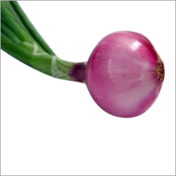 Green Onion
