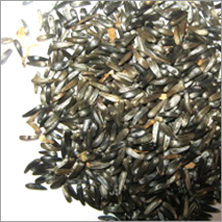 Pulses Cereals