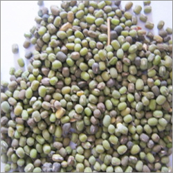 Whole Pulses Cereals