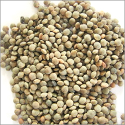 Whole Pulses