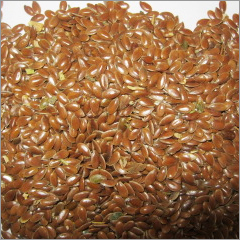 Cereals Grains