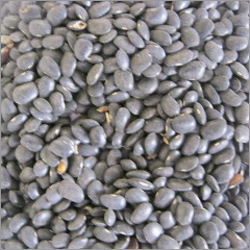 Bean Pulses Cereals
