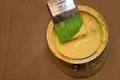 Semi Gloss Paint