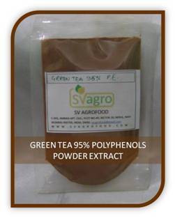 Green Tea Extract Powder Shelf Life: 1-2 Years