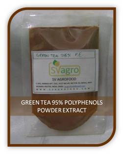 Green Tea Extract Powder