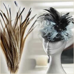 EMU Feathers
