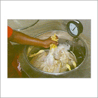 Halal Chicken Meat