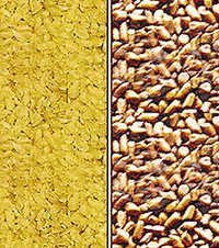 Yellow Food Additives