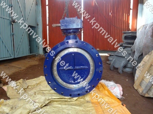 Flange Type Butterfly Valves