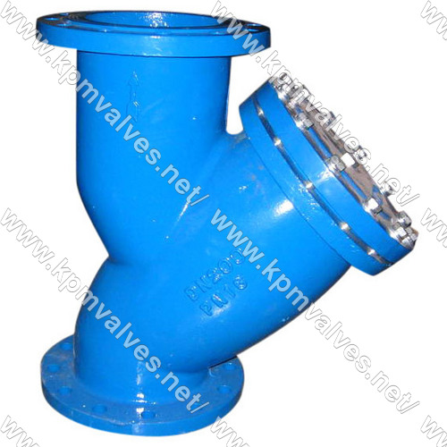 Y Strainer