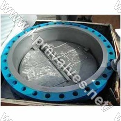 Dual Plate Check Valves