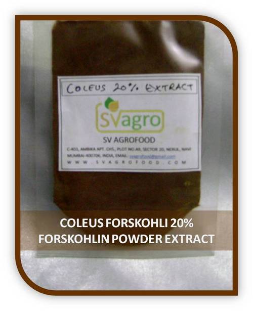 Coleus Forskohlii Extract 