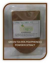 Camellia Sinensis Extracts 