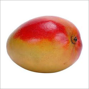 Mangoes Fruit