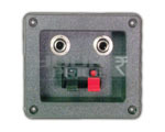 2 Way Speaker Terminal & 2 P-38 Mono Socket