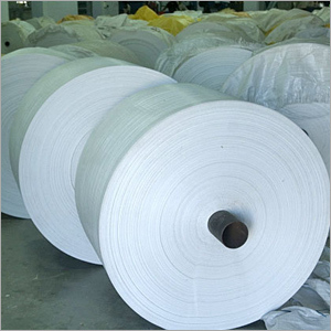 PP Woven Fabric Roll