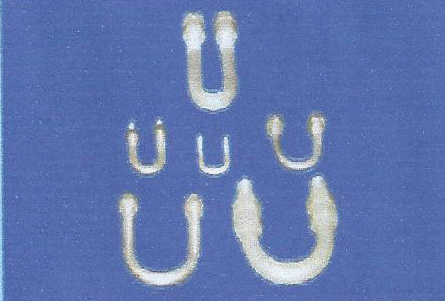 U Bolt With Nut