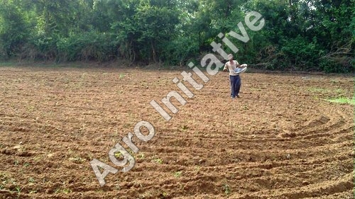 Sowing Seeds