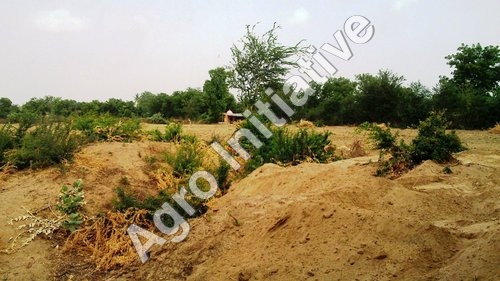 Microbial Origin Bio Pesticides