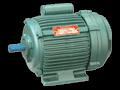 SINGLE PHASE INDUCTION MOTORS