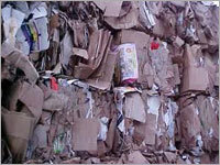 Paper Waste