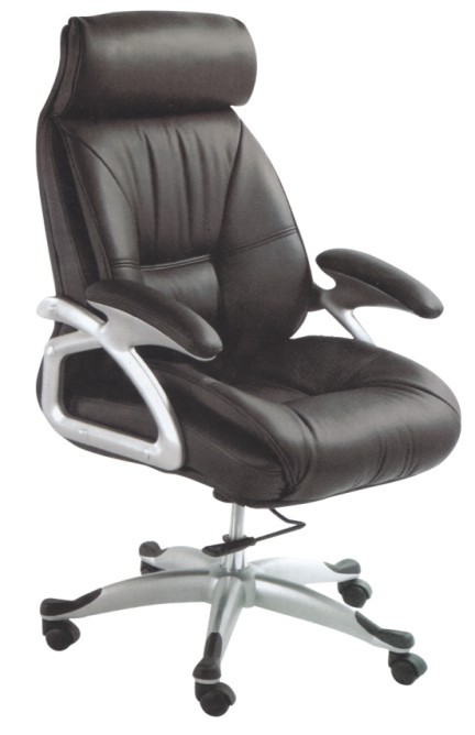 Director Revolving Chair