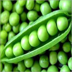Green Peas