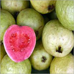Guava