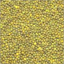 Mustard Seed
