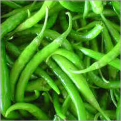 Fresh Vegetables